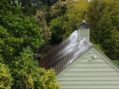 Moss Roof Treatment